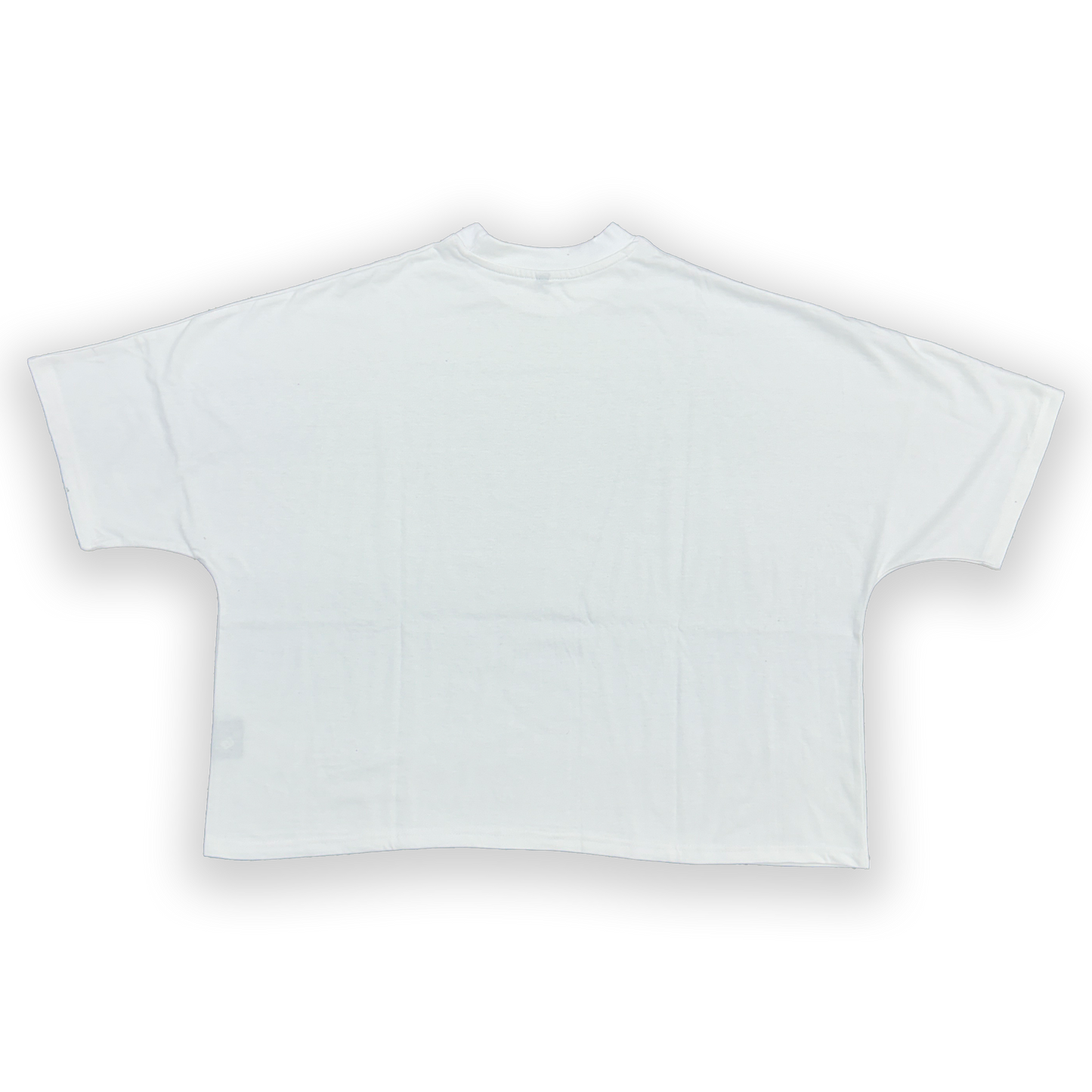 Rebel Minds 2 Panel Boxy Tee