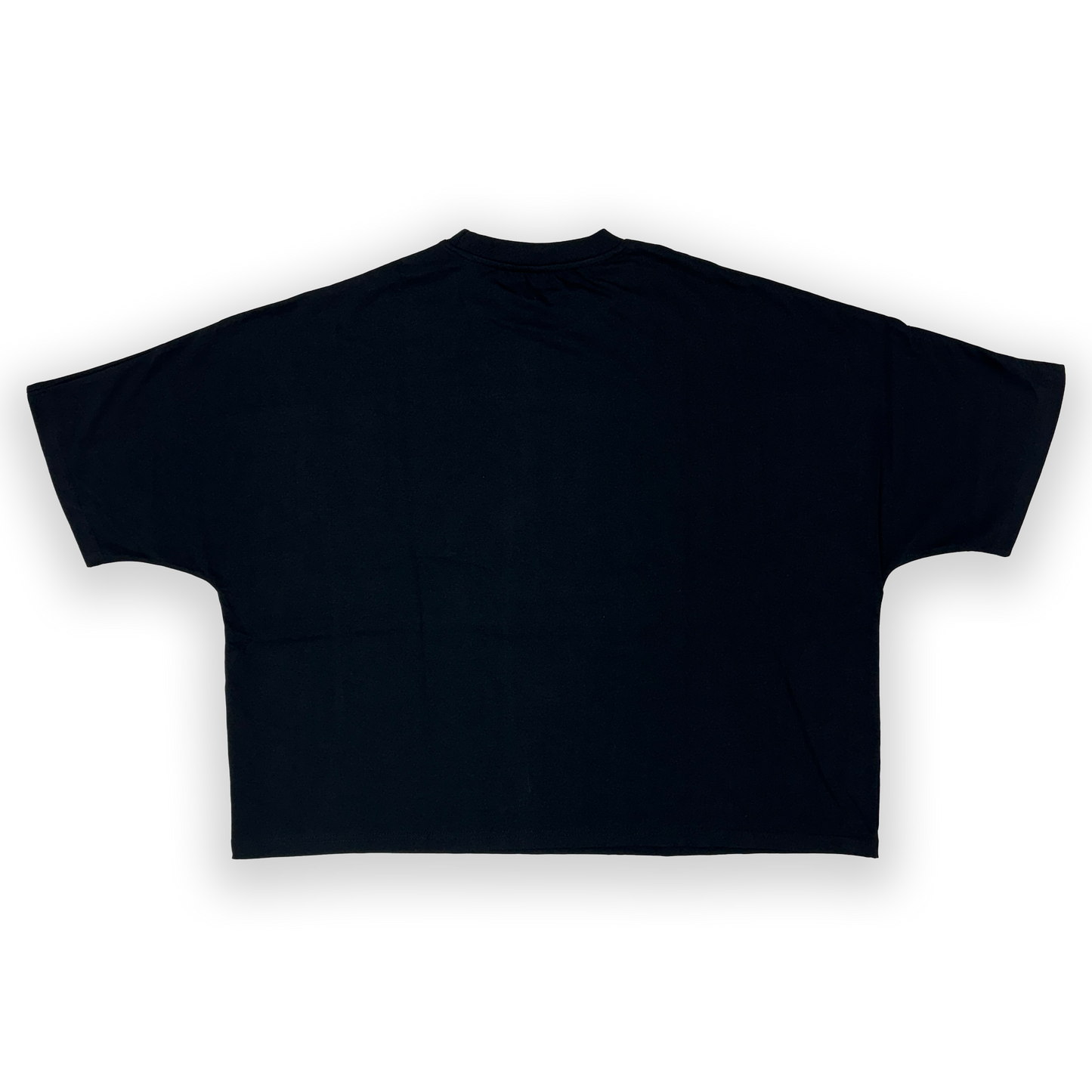 Rebel Minds 2 Panel Boxy Tee