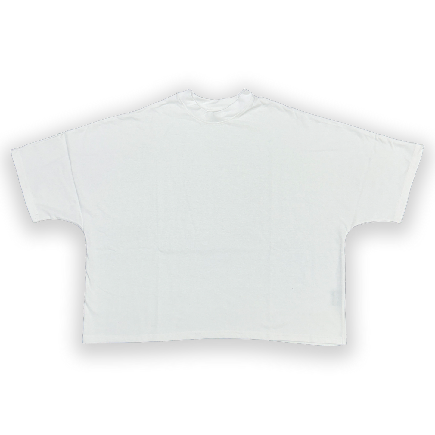 Rebel Minds 2 Panel Boxy Tee